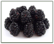 Freeze Dried Whole Blackberries #2.5 can
