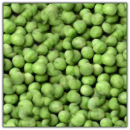 Freeze Dried Garden Peas #2.5 can