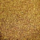 Alfalfa Sprout Seed #2.5 can