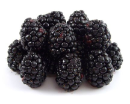 Freeze Dried Whole Blackberries #10 can