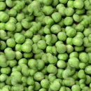 Freeze Dried Garden Peas #2.5 can